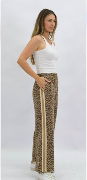 Wildcat Pant